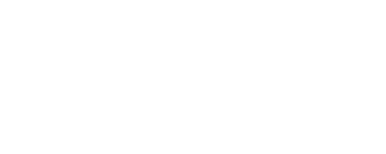 IBM logo hvit.png